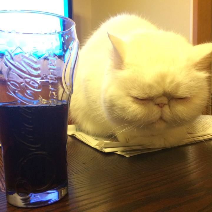 2f8eaeab 5422 44e2 bafc 8f1fe9ed7299