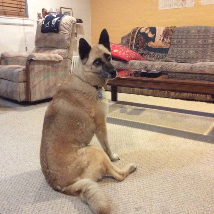 2f8f012e 6f09 4ad3 a885 917f960d77bb