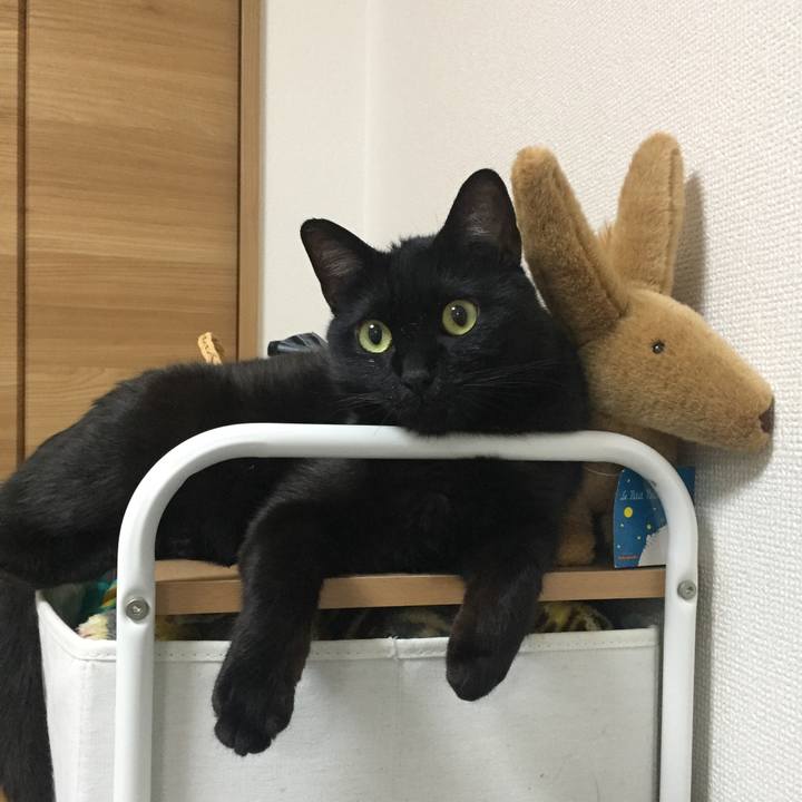 2f8fb77b 5f11 4170 9ff1 e10cf9352ee2