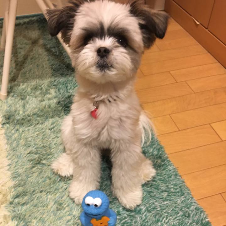 2f8fd44d d7b5 495e b511 0a1be17e8f7f