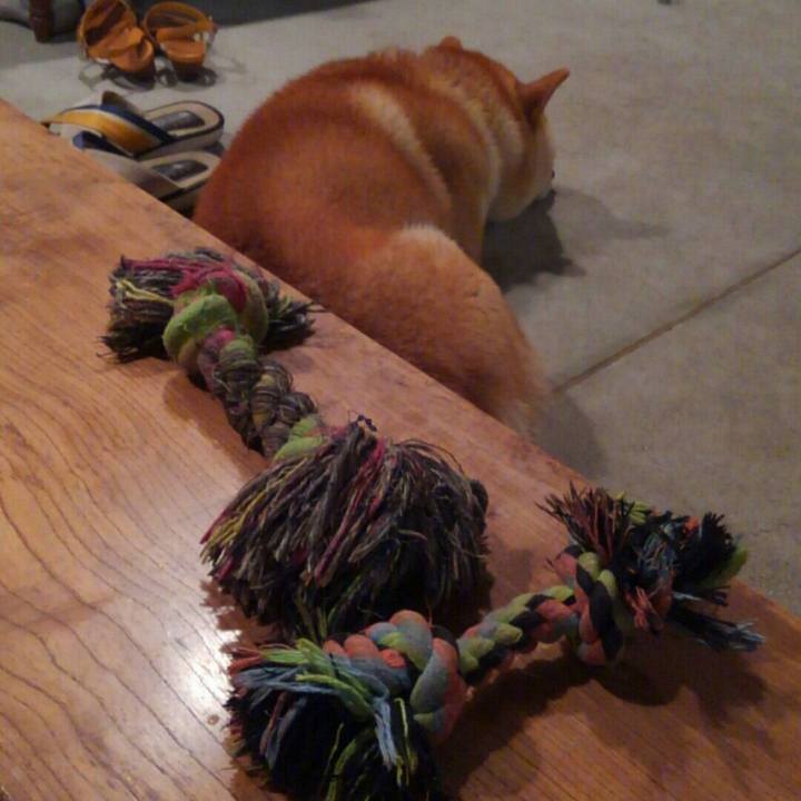 2f9017fc aeb6 4bc2 bc5d cd7b35c24e98