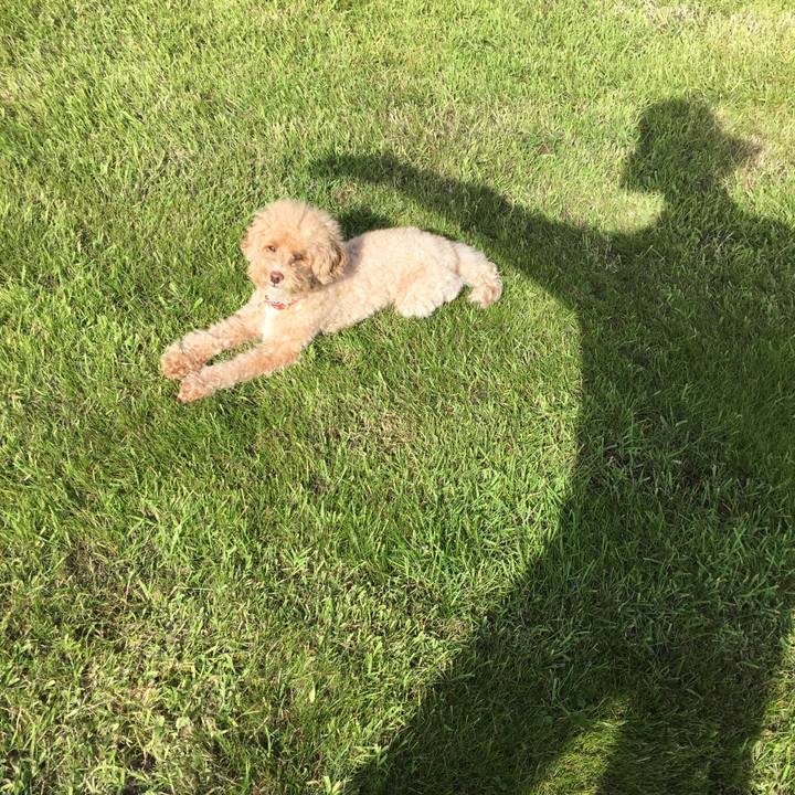 2f905035 d178 4461 8d7d e1d501f92236