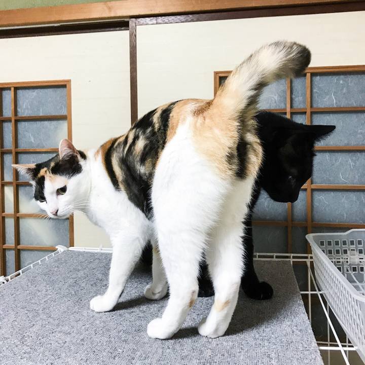 2f90be6a 9e07 4fd6 85ea c27e11969522