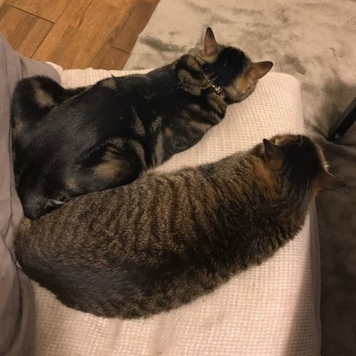 2f90ead6 2107 4524 b11a 657c33ee5c6a