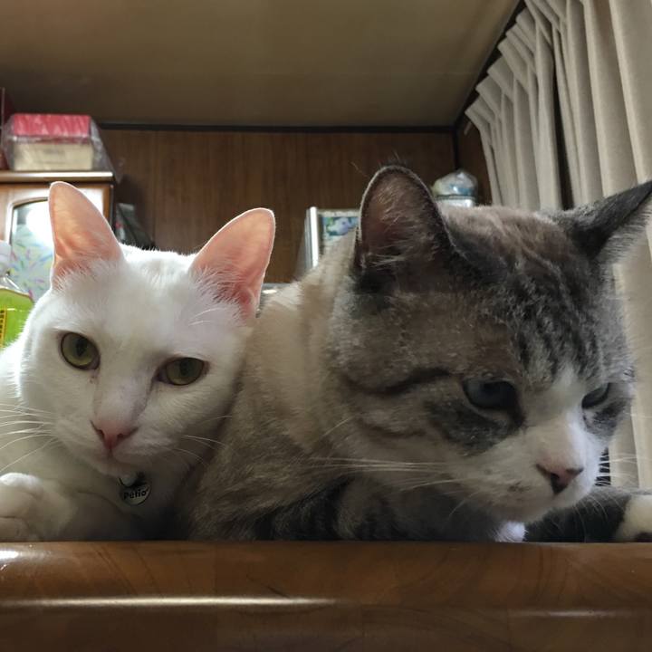 2f91b4d5 a2e8 4f88 8f69 abb8551dd5d2