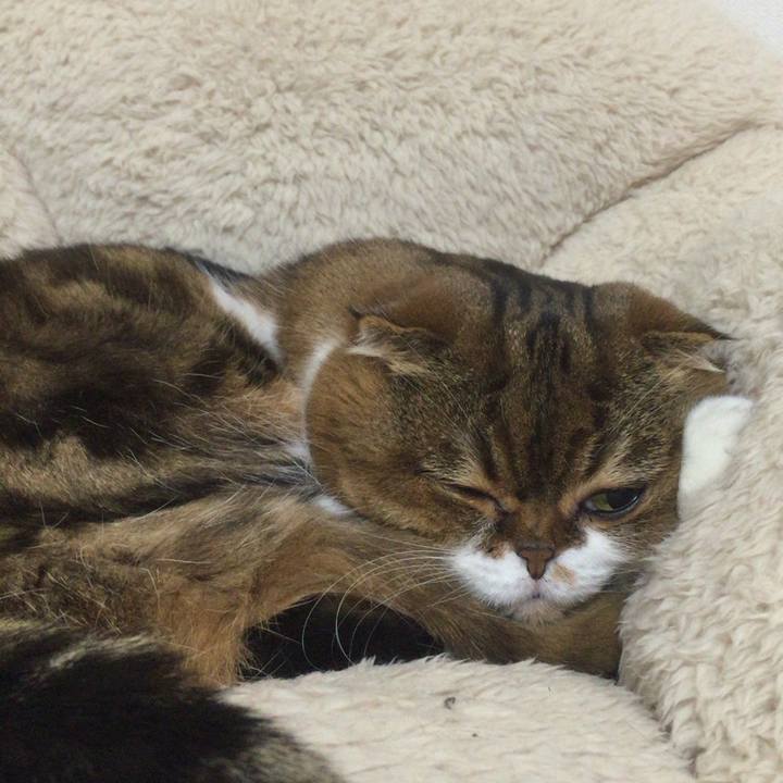 2f91b6ae 3a44 4b19 8a41 fb8246098402