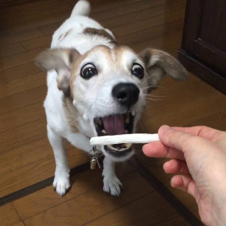 2f928998 029d 4604 a988 4a2097f161a8