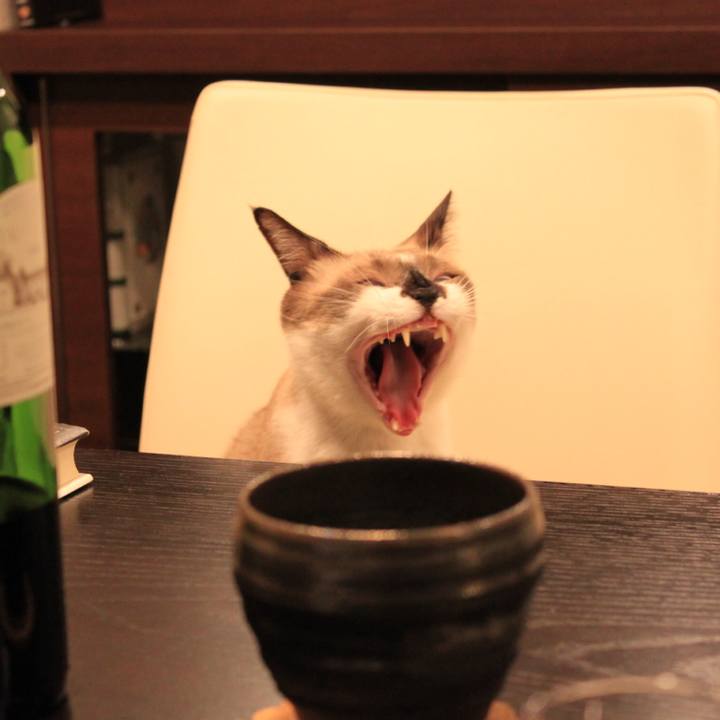 2f92a958 90a8 49f1 bca6 4ca92427c3aa