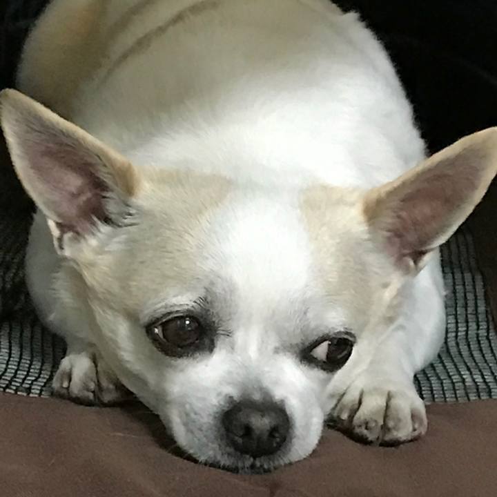 2f92cc7e 7b5c 4b42 b663 5d04f9560362