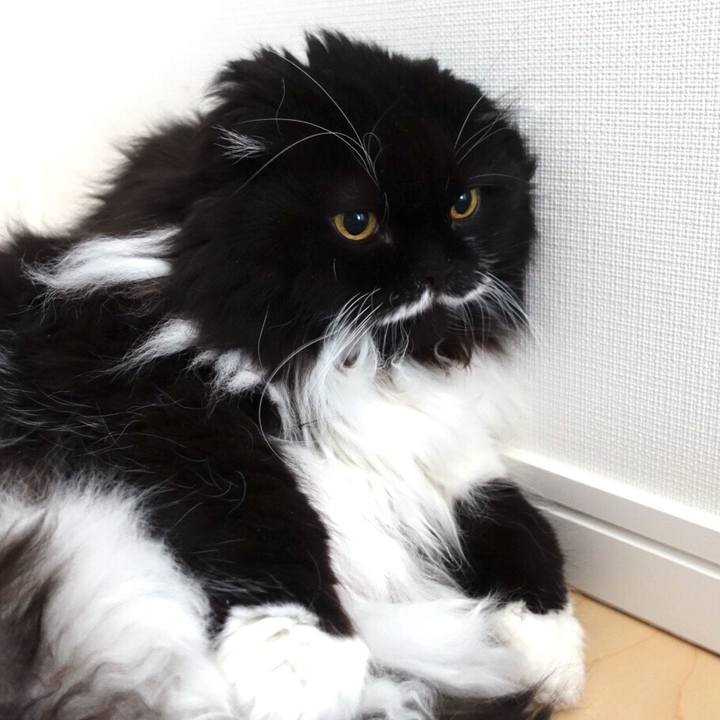 2f935c9b 7390 4f7c 9e0d 9a6b6f2a1973