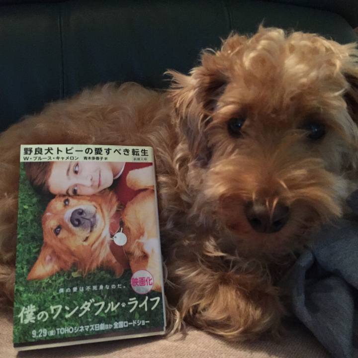 2f938806 cf76 4908 8f29 12a77597eaf3