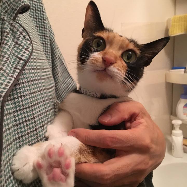 2f93c676 94f7 4bce bcb1 62fa8eb6dfbf