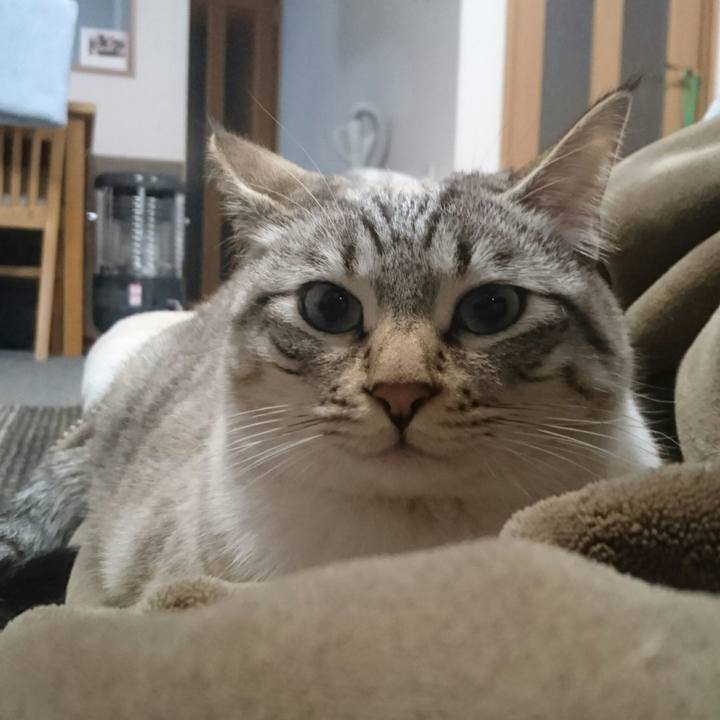 2f93db50 f649 4cd6 b62d a35abbd68b7f