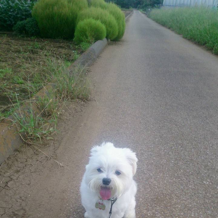 2f93de33 0171 4a03 aca6 0a4aacea74ec