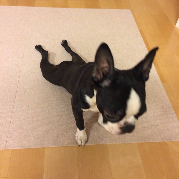 2f9442f1 1832 4d17 90e1 3d246cafb30a