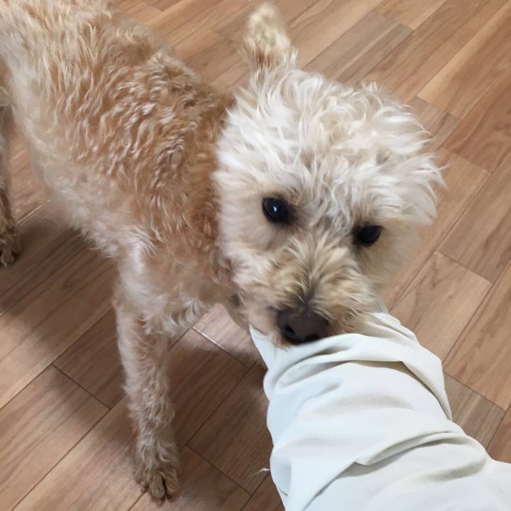 2f94d680 5e4b 4259 b36e 1bc01b78a937