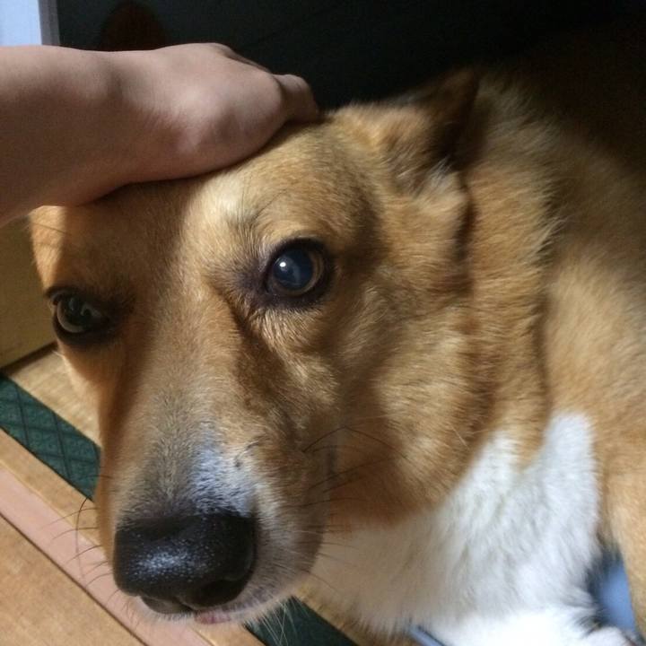 2f96412c 29ff 4ff5 821b 75d1e98ac818