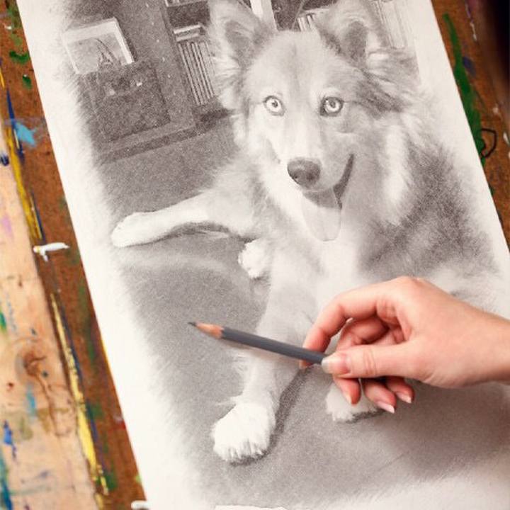 2f968619 ac4a 4e85 9345 910a07955552