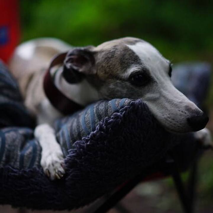 2f97860f ed7d 4797 8272 ea334223bb3c