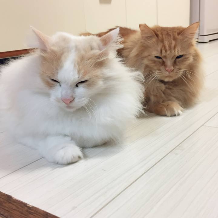 2f978c27 f9c6 45b5 9c33 b09cd24de358