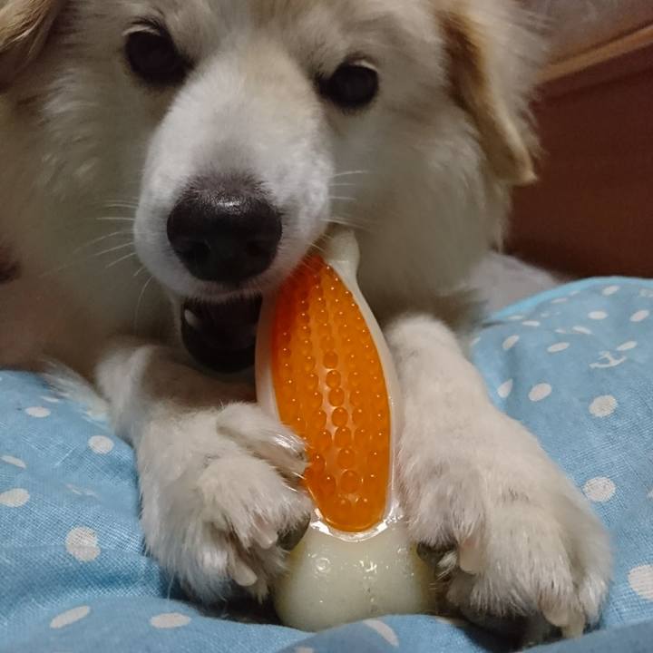 2f979d5d 706b 4a68 adbe a5f844cf7acd