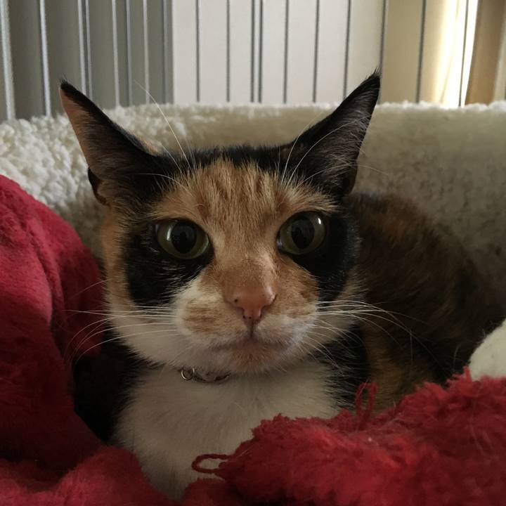 2f983083 b4d6 4267 a9b0 803669429fd9