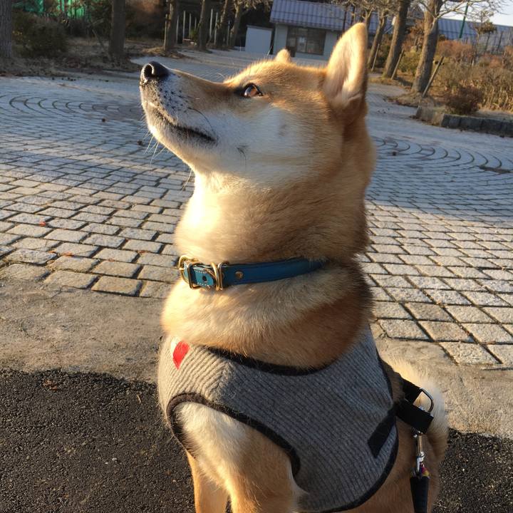 2f983d1b e64d 4541 b8fa 8e1bd894712e