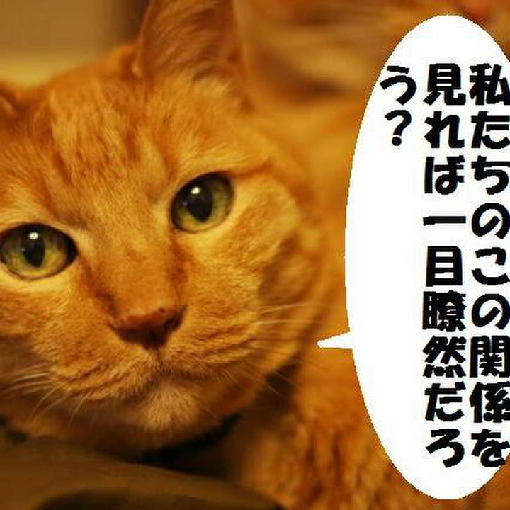 2f986023 b60a 4bb3 9b67 084cc661f167