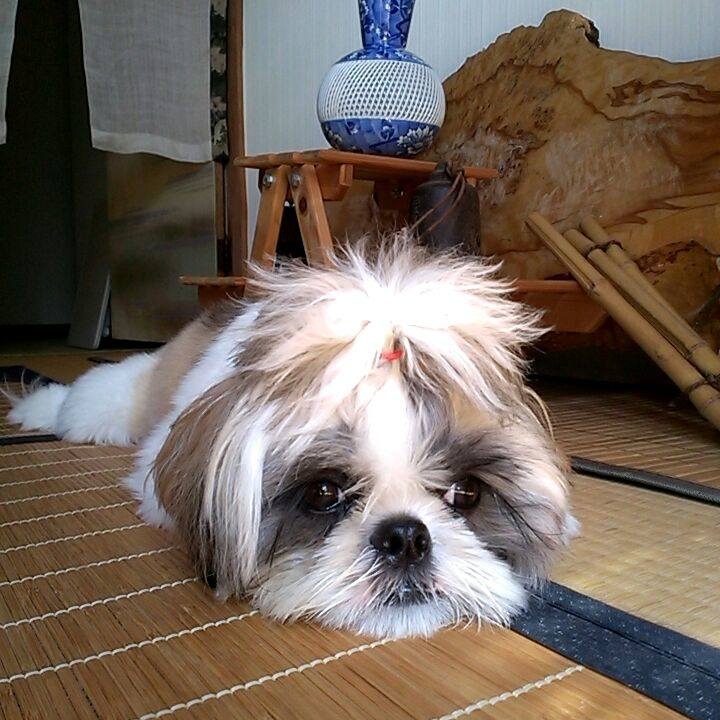 2f98eea8 e085 47a5 b6b9 55cd0687bfb2