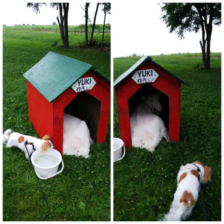 2f990448 1add 42bb b6d3 4d4920645009