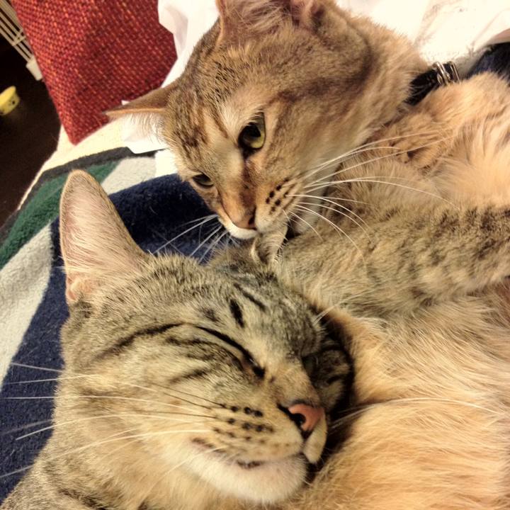 2f9909f1 51c8 4531 a1a6 1c11fc69b9e5