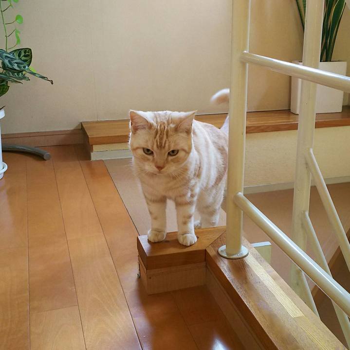 2f99b86e 678d 4a01 8fc1 f88dec370c02