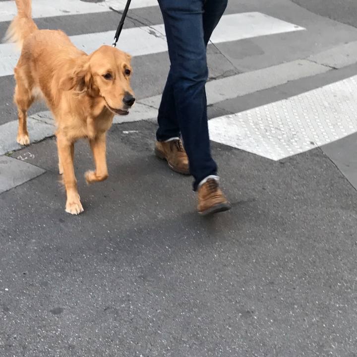 2f99e39e 180b 4de3 9cbe 707e247e117a