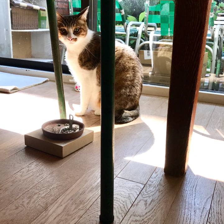 2f99f193 0f63 499a b4cd a6434e7ffc27