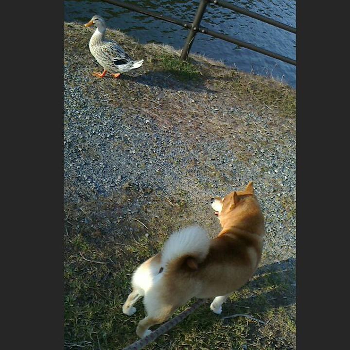 2f9aabe6 d32b 4c3c 9d7e 30bd223d680f