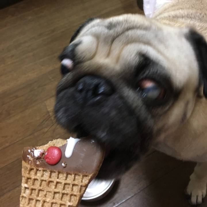 2f9afc57 6a47 4979 a66b c126dda0545e