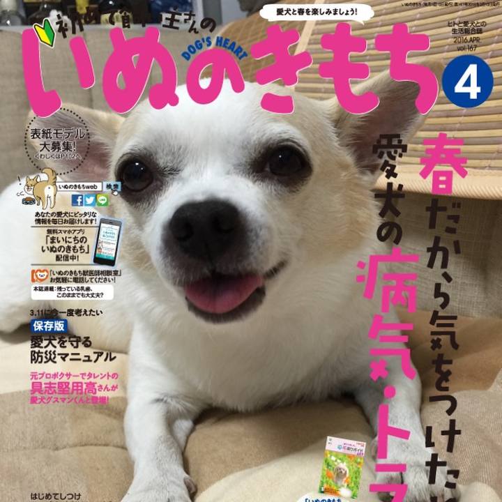 2f9b0b81 18d0 4922 8a80 cce91188ca8e