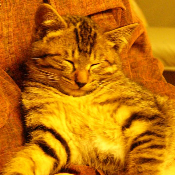 2f9b2213 27cd 44f3 b7d3 fa04edf508bb