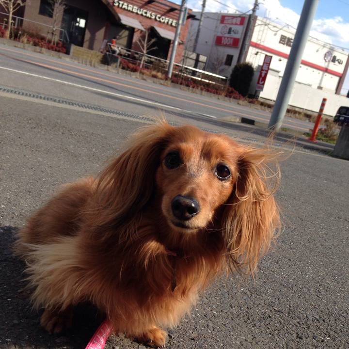 2f9b513d 9ac9 47bf 9732 1fc4f2691fbb