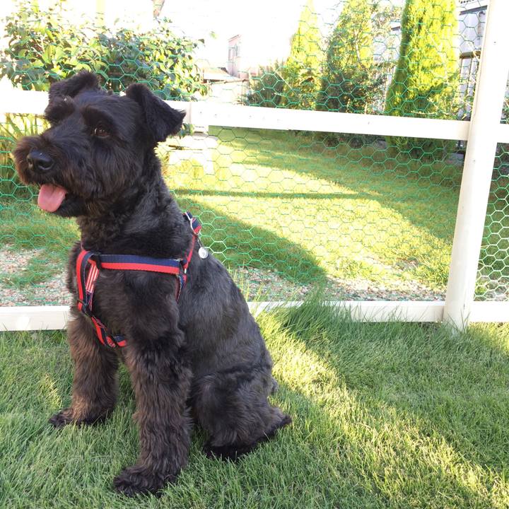 2f9c4d68 b351 44e3 9a8d baacf046dedb