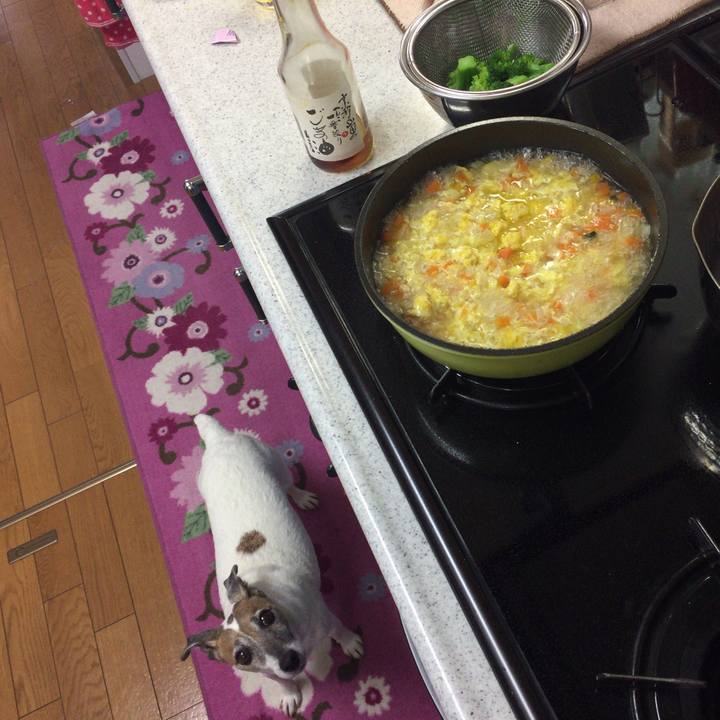 2f9c6e78 408a 4824 8caa ad6d5ba60389