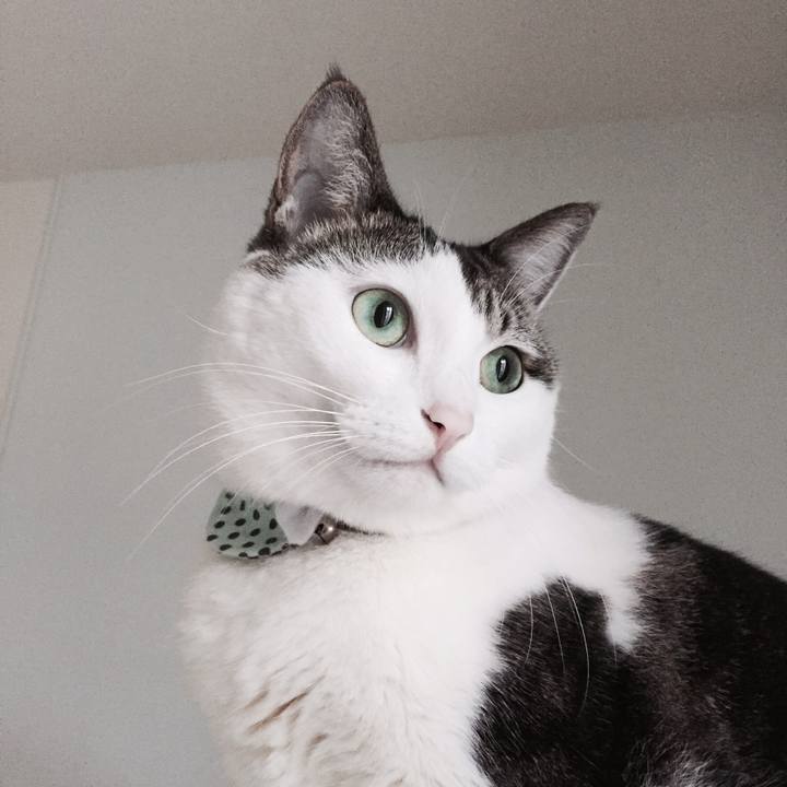 2f9d05fe 3fa7 43ab a0f3 68fe0f589da3