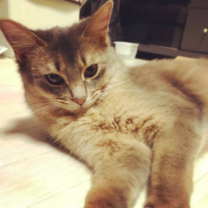 2f9d96b2 6cf5 41d0 b5e4 ee31d995af44