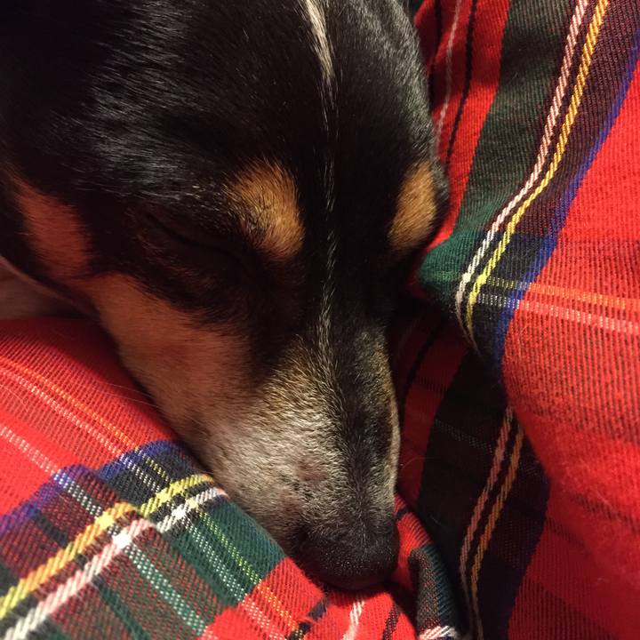 2f9de932 d064 4296 8a67 45deb31f4f5f