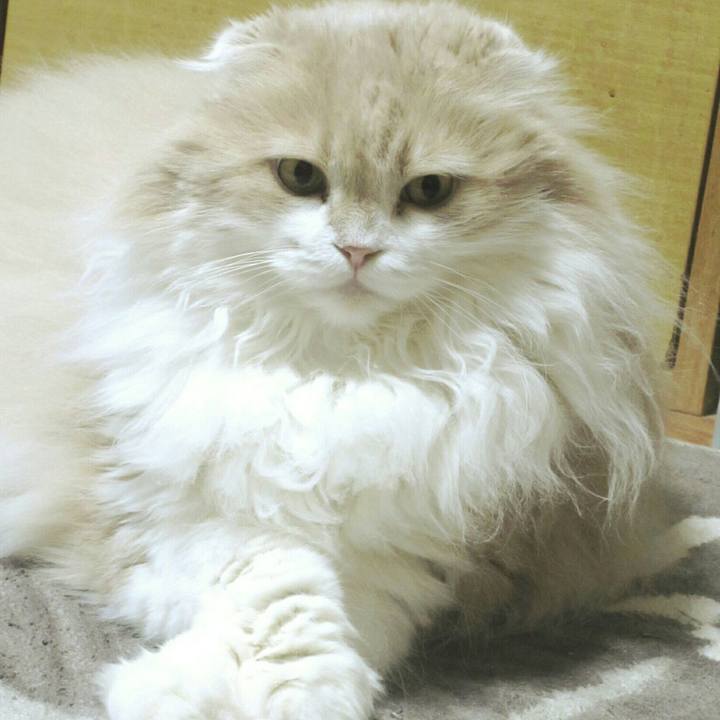 2f9df0f6 1b0e 4e2d babb 7322e0d62b80