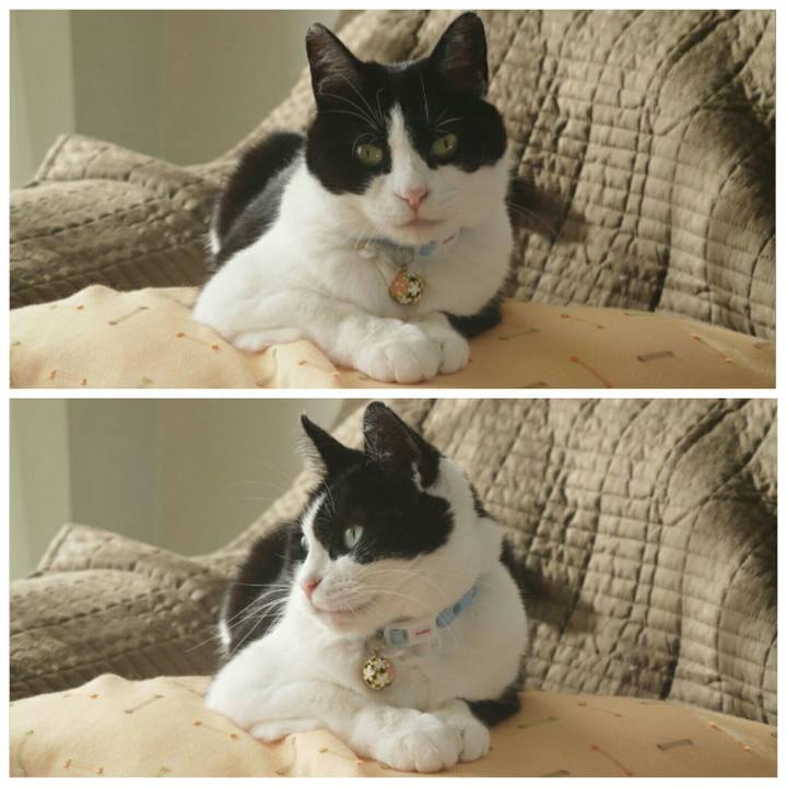 2f9ea3e5 f004 47f2 bda9 4351c06c9cca