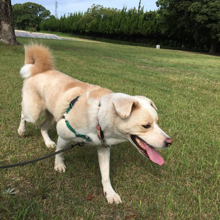 2f9f3ad9 0844 4efa 9093 202c4b9aa6ec