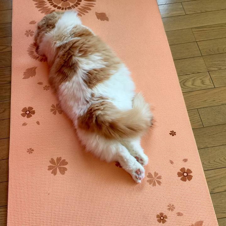 2f9fe133 260e 441d a0a9 10aac96662d3