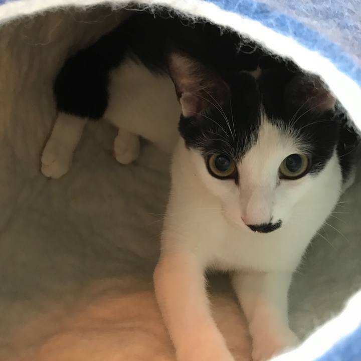 2fa03f20 0256 40f9 8fa9 7d4f53205e66