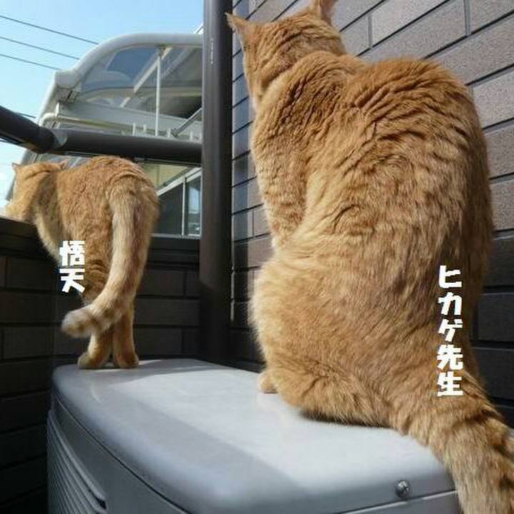 2fa04ed7 6298 4b1c bb00 024a16559ee6